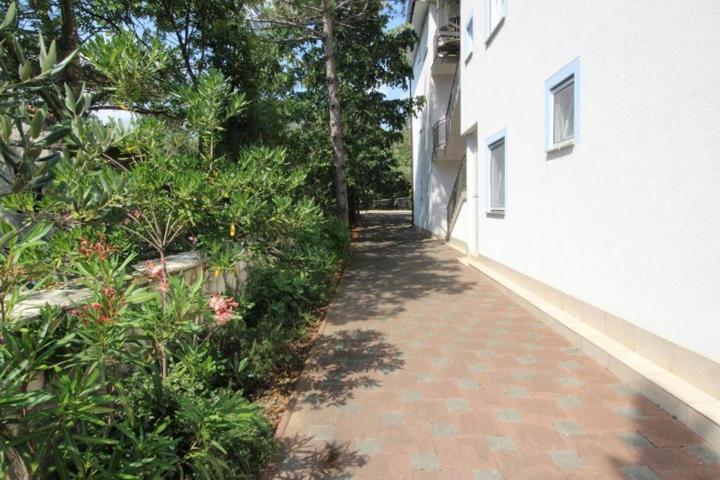 Apartmani Zec Сило Экстерьер фото